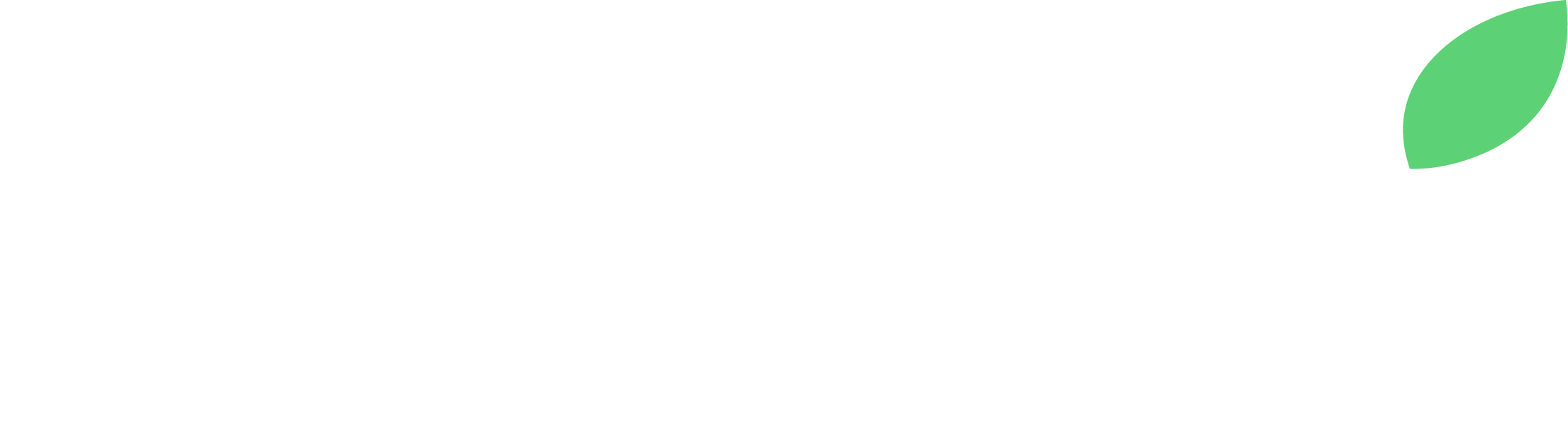 Blueski Logo Text For blueBG